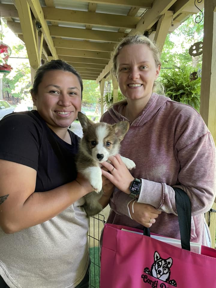 Happy family with new male red and white pembroke welsh corgi puppy in NC