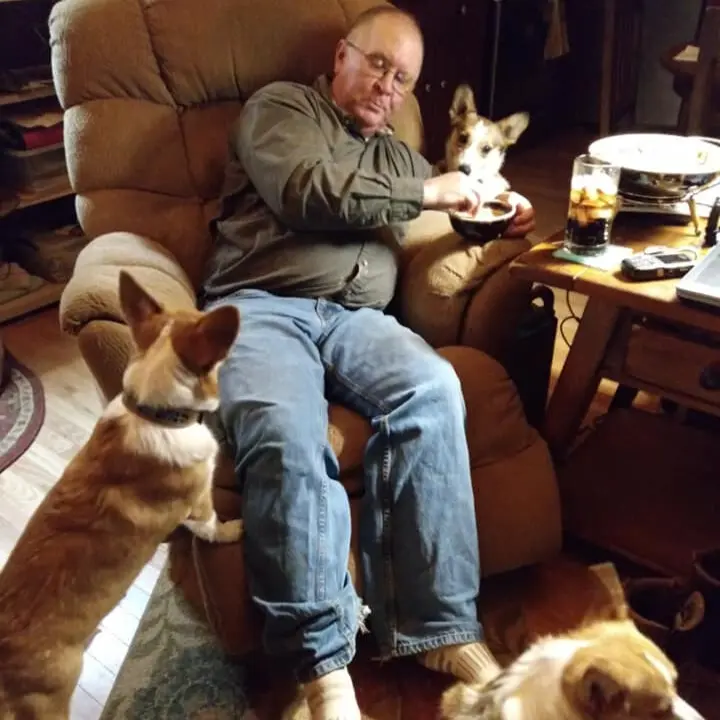 Harland sitting with 3 pembroke welsh corgis